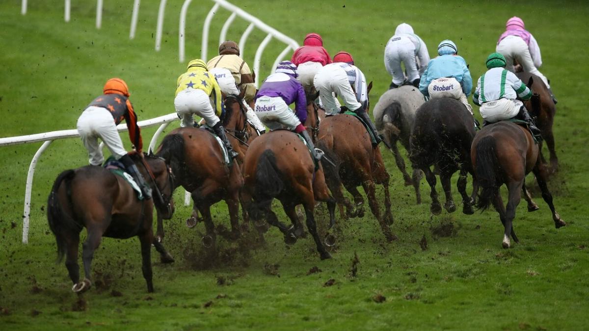 Catterick Races